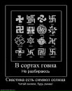 Фотография Павел Комендантов