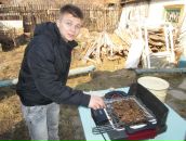 Фотография  