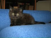 Фотография Блиновой Юлии