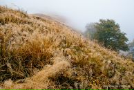 Юрій Кондаков фотография #44 (источник - https://vk.com/id7456696)