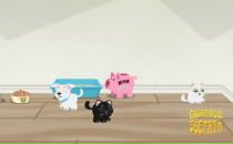 Альона Сіньковська фотография #9 (источник - https://vk.com/id84698413)