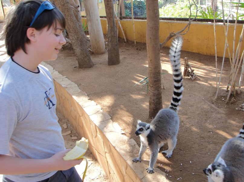 Симон Петров фотография #3