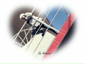 Гобіка Пуга фотография #14 (источник - https://vk.com/id126906293)