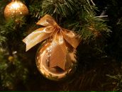 Фотография Тирской Юлии