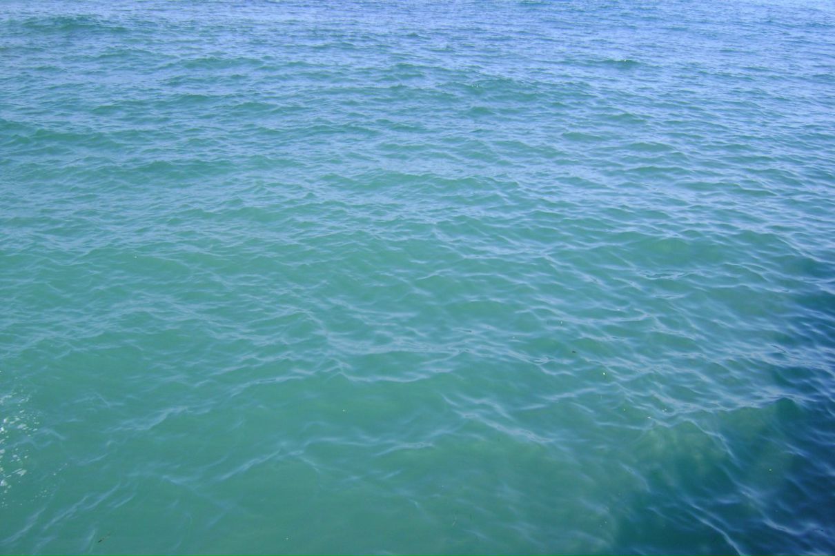 Princessa София фотография #39