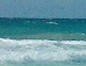 Ірина Смачило фотография #3 (источник - https://vk.com/id133972009)