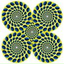 Андрій Стефанишин фотография #49 (источник - https://vk.com/id73525698)