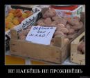 Антон Random фотография #2 (источник - https://vk.com/id3982068)