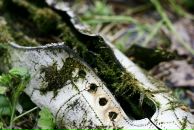 Фотография Некрасовой Анастасии