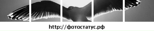 Мариам Глаголева фотография #28 (источник - https://vk.com/id3770974)