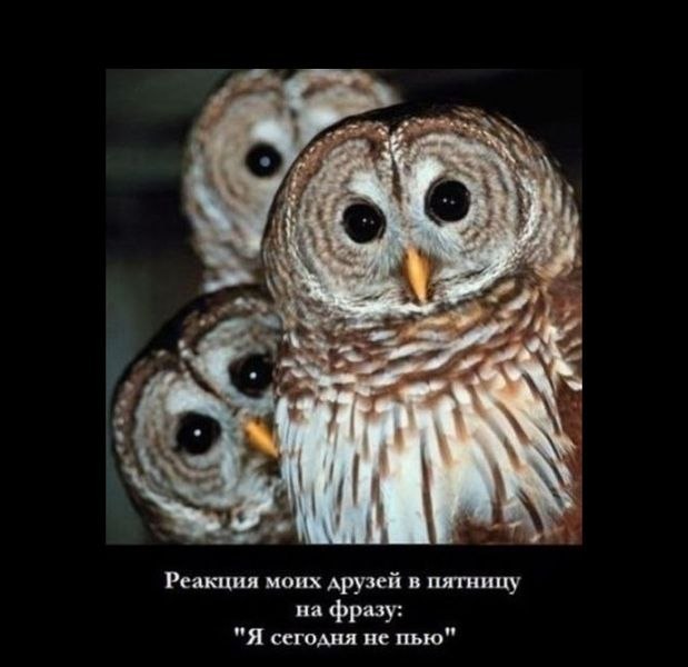 Antonio Allure фотография #35