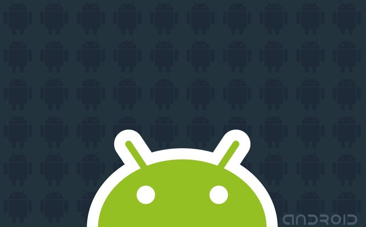 Дмитрий Белявцев фотография #34