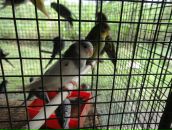 Ivan Solovyev фотография #30 (источник - https://vk.com/id1772132)