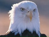 Фотография Кузнецова Родиона