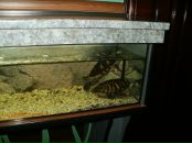 Андрій Купин фотография #23 (источник - https://vk.com/id20297140)