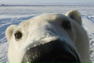 Фотография Golukov Alexey