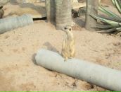 Клевый Парень фотография #44 (источник - https://vk.com/id391001)