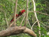 Клевый Парень фотография #40 (источник - https://vk.com/id391001)