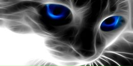 Фотография Капустина Сергея