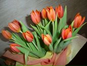 Фотография Нефедовой Анны