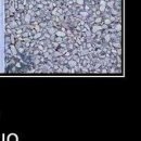 Богдан Нікітюк фотография #23 (источник - https://vk.com/id150880687)