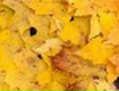 Ірина Ковтун фотография #35 (источник - https://vk.com/id22749866)