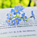 Фотография Крючковой Ольги