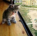 Фотография Малыхиной Анюты