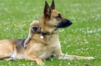 Фотография Балабаева Рената