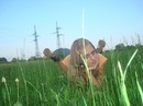 Віка Усенко фотография #49 (источник - https://vk.com/id142216531)