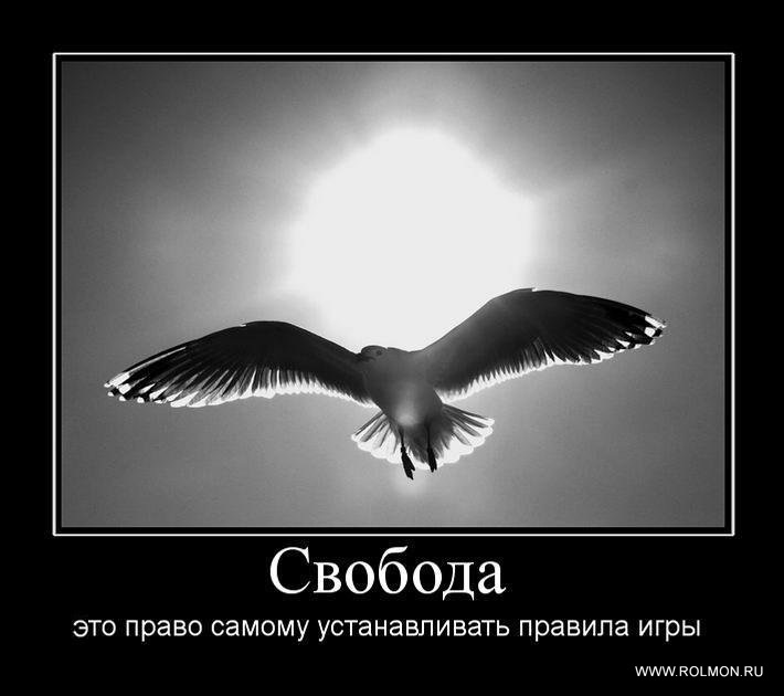 Эдуард Орлов фотография #15