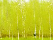 Світлана Самсоненко фотография #25 (источник - https://vk.com/id7636474)