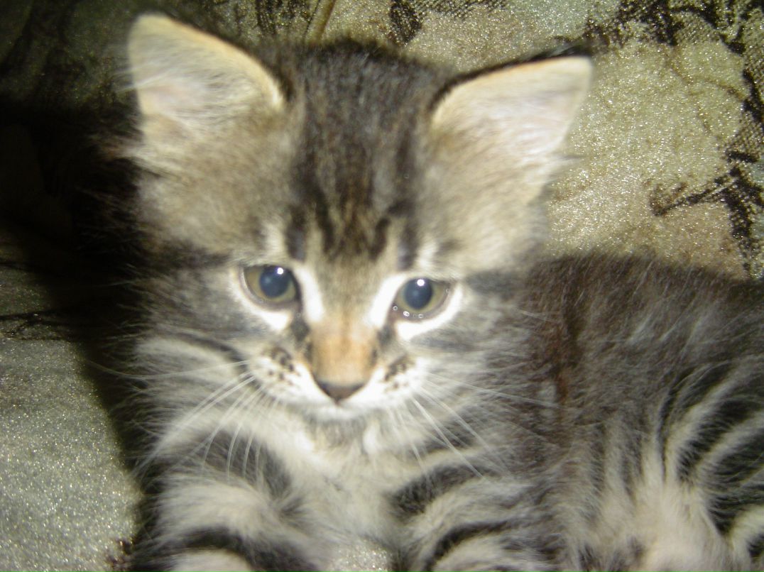 Эмочка Супер фотография #6