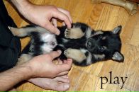 Наталія Діденко фотография #12 (источник - https://vk.com/id3846566)