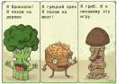 Фотография Закирова Ильдара