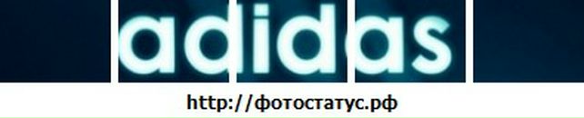 Олег Пасічний фотография #16 (источник - https://vk.com/id91325447)