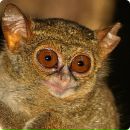 Данил Смирнов фотография #44 (источник - https://vk.com/id532575)