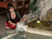 Фотография  