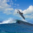 Соля Зубік фотография #36 (источник - https://vk.com/id143210925)