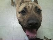 Фотография Кожухова Тимофея