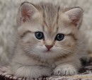 Сергій Прокопишин фотография #40 (источник - https://vk.com/id66292079)