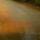 Марічка Билинь фотография #25 (источник - https://vk.com/id13386712)