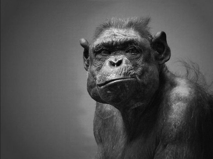 Александр Грубрин фотография #9