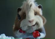 Фотография Яскевич Нади