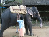 Дмитрий Матвеенко фотография #30 (источник - https://vk.com/id436376)