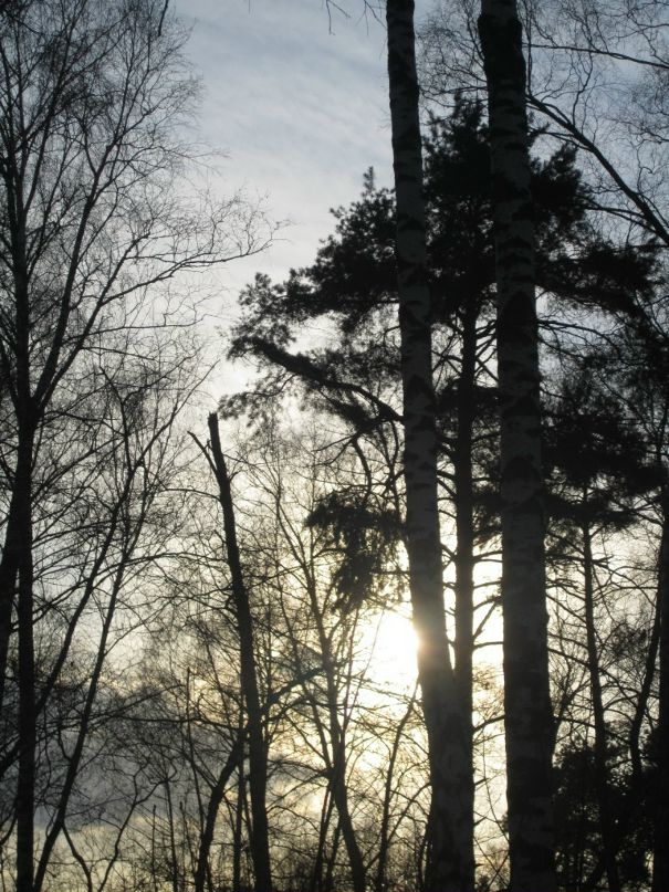 Дмитрий Козлов фотография #46