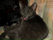 Фотография Сенькиной Юлии