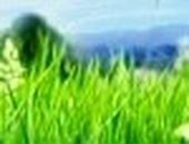 Вероніка Федишин фотография #11 (источник - https://vk.com/id45959990)