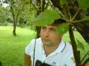 Сергій Панда фотография #20 (источник - https://vk.com/id84795185)