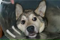 Фотография Терентьевой Елены